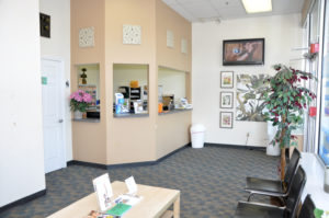 dr dental springfield ma interior