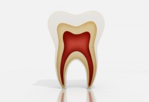 How to Apply for Dental Coverage with Medicaid in New Hampshire