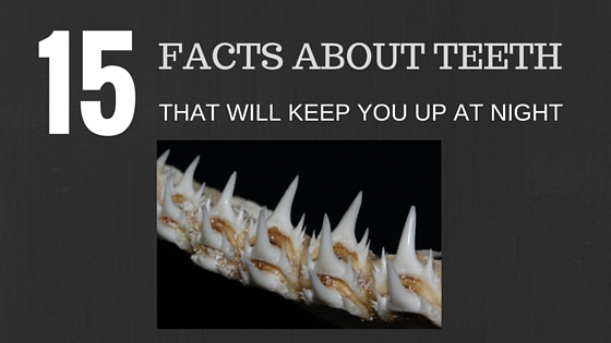 15 Facts about Teeth that will keep you up at night